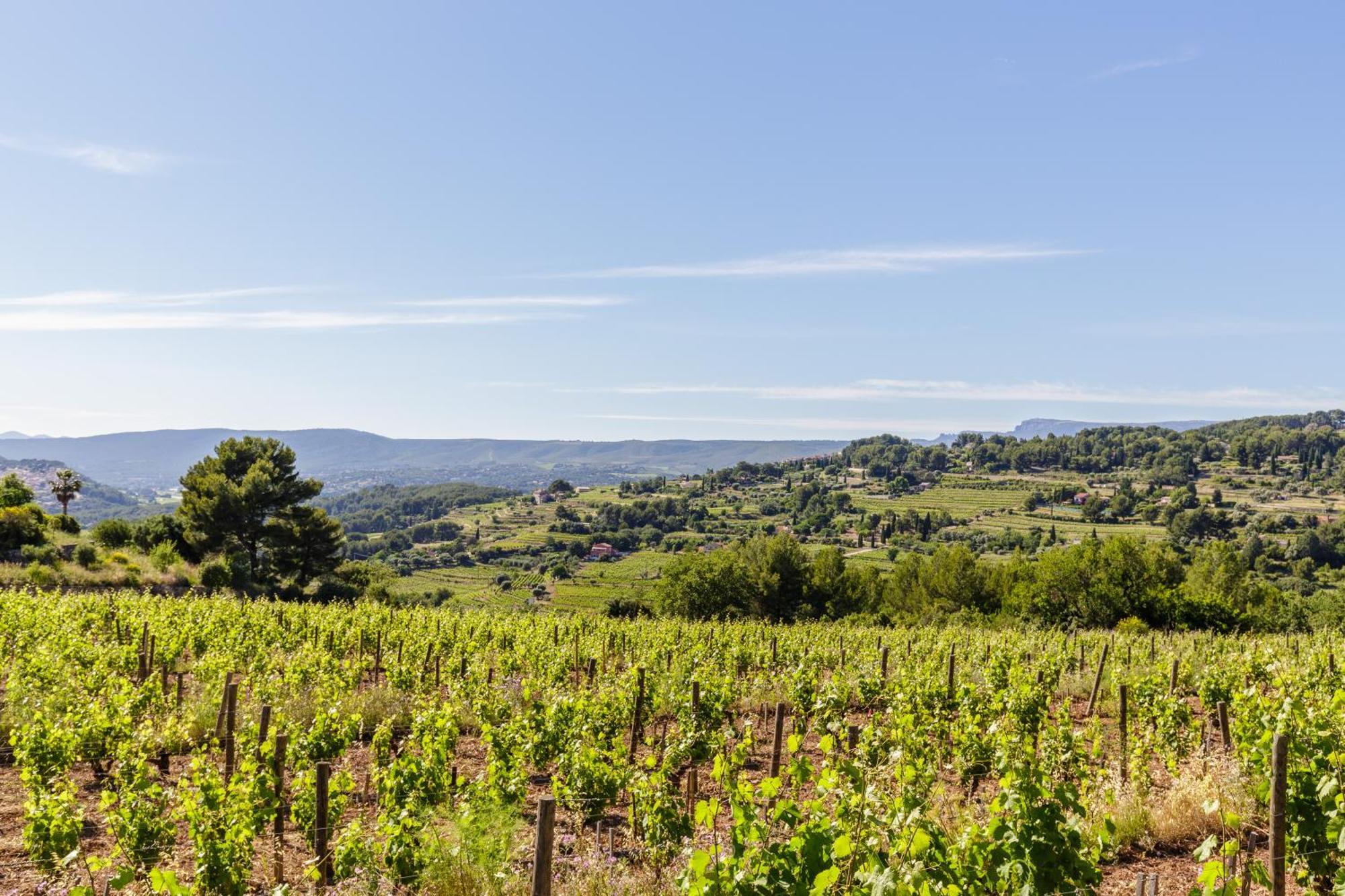 Lodges Park Castellet Provence: Vineyard Gites Near Beaches and F1 Circuit Le Beausset Room photo