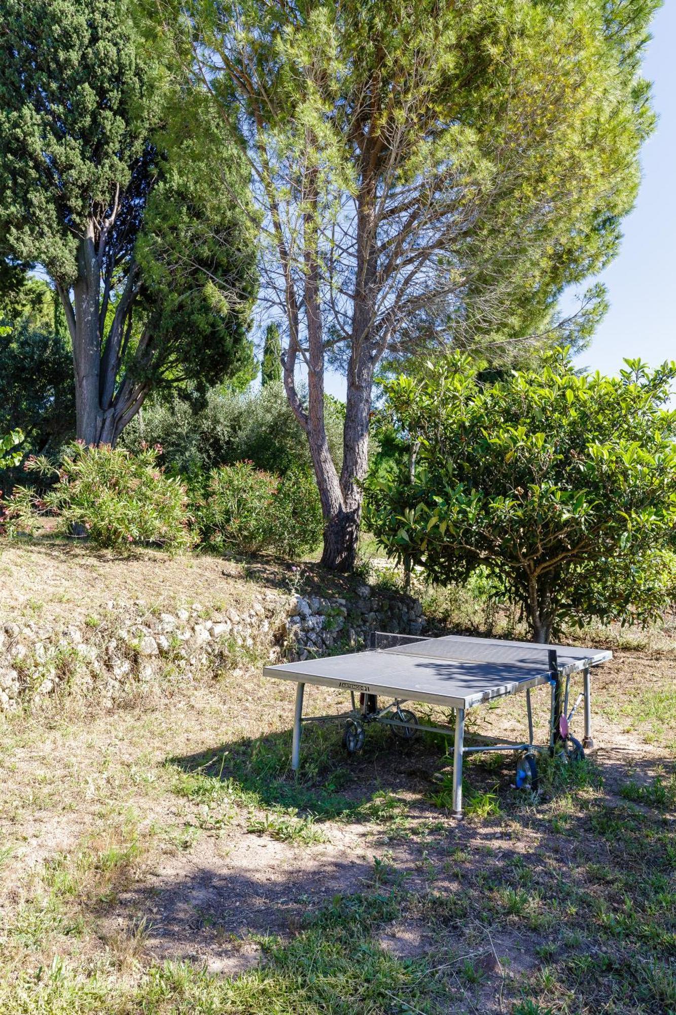 Lodges Park Castellet Provence: Vineyard Gites Near Beaches and F1 Circuit Le Beausset Room photo